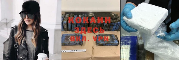 дживик Надым