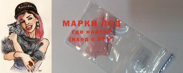 дживик Надым