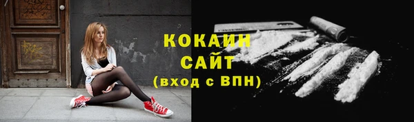 дживик Надым