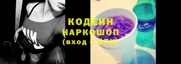 дживик Надым