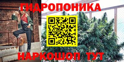 эйфоретик Волгодонск