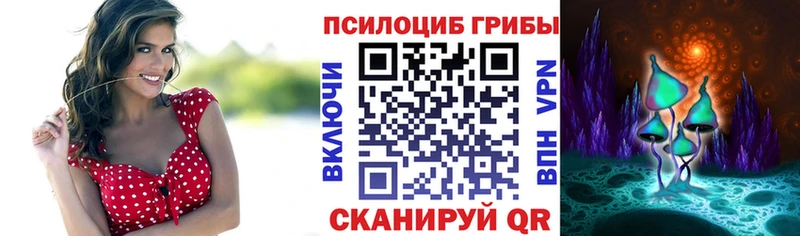 где купить наркотик Каменск-Шахтинский Псилоцибиновые грибы мухоморы