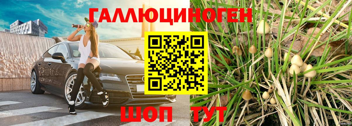 Галлюциногенные грибы MAGIC MUSHROOMS  Каменск-Шахтинский 