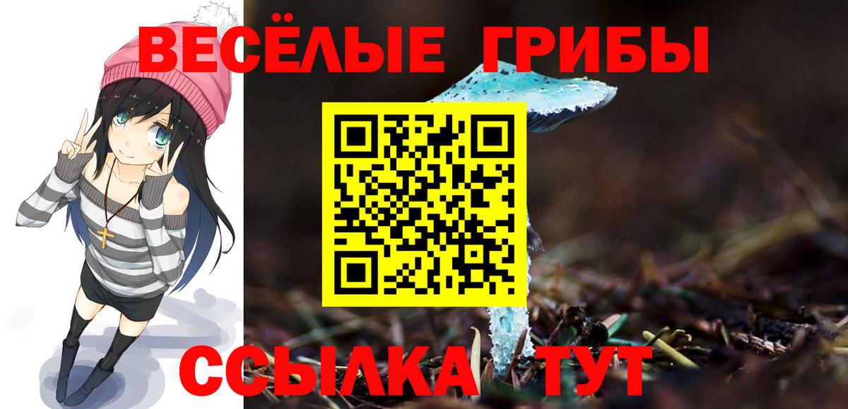 Псилоцибиновые грибы мухоморы  где купить   Каменск-Шахтинский  Вход с VPN 